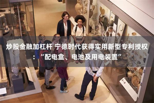 炒股金融加杠杆 宁德时代获得实用新型专利授权：“配电盒、电池及用电装置”