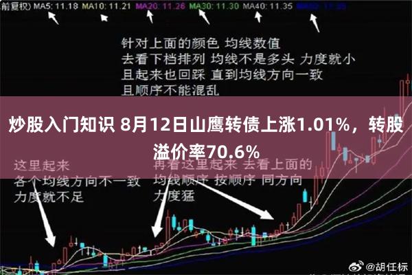 炒股入门知识 8月12日山鹰转债上涨1.01%，转股溢价率70.6%