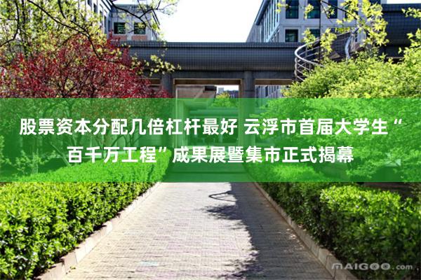 股票资本分配几倍杠杆最好 云浮市首届大学生“百千万工程”成果展暨集市正式揭幕