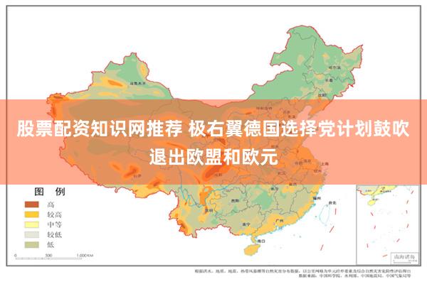 股票配资知识网推荐 极右翼德国选择党计划鼓吹退出欧盟和欧元