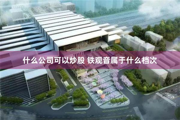 什么公司可以炒股 铁观音属于什么档次