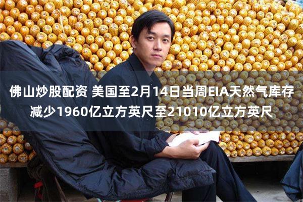 佛山炒股配资 美国至2月14日当周EIA天然气库存减少1960亿立方英尺至21010亿立方英尺