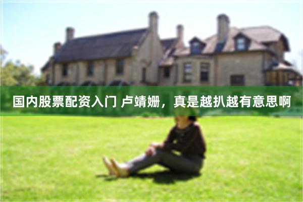国内股票配资入门 卢靖姗，真是越扒越有意思啊