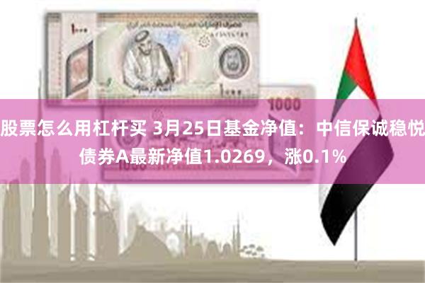 股票怎么用杠杆买 3月25日基金净值：中信保诚稳悦债券A最新净值1.0269，涨0.1%