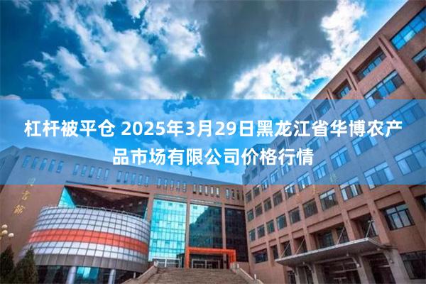 杠杆被平仓 2025年3月29日黑龙江省华博农产品市场有限公司价格行情