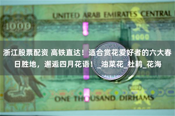 浙江股票配资 高铁直达！适合赏花爱好者的六大春日胜地，邂逅四月花语！_油菜花_杜鹃_花海