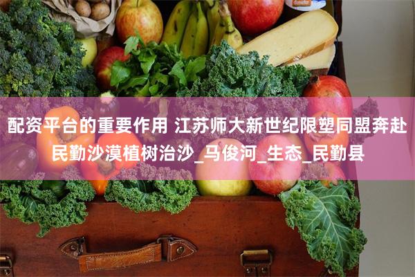 配资平台的重要作用 江苏师大新世纪限塑同盟奔赴民勤沙漠植树治沙_马俊河_生态_民勤县