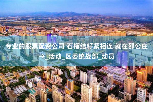 专业的股票配资公司 石榴结籽紧相连 就在邵公庄→_活动_区委统战部_动员
