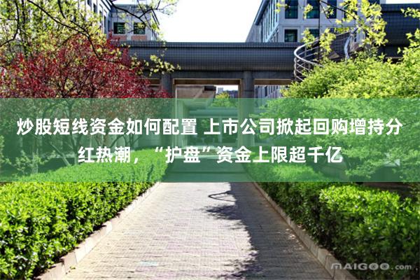 炒股短线资金如何配置 上市公司掀起回购增持分红热潮，“护盘”资金上限超千亿