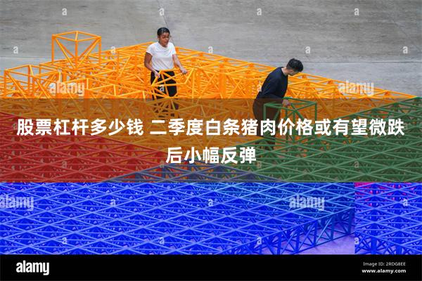 股票杠杆多少钱 二季度白条猪肉价格或有望微跌后小幅反弹
