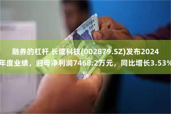 融券的杠杆 长缆科技(002879.SZ)发布2024年度业绩，归母净利润7468.2万元，同比增长3.53%