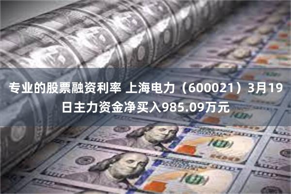 专业的股票融资利率 上海电力（600021）3月19日主力资金净买入985.09万元
