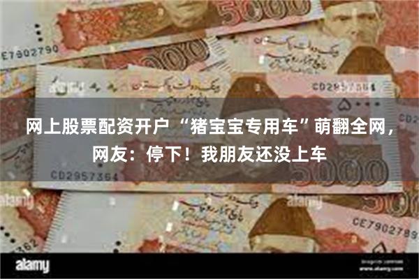 网上股票配资开户 “猪宝宝专用车”萌翻全网，网友：停下！我朋友还没上车