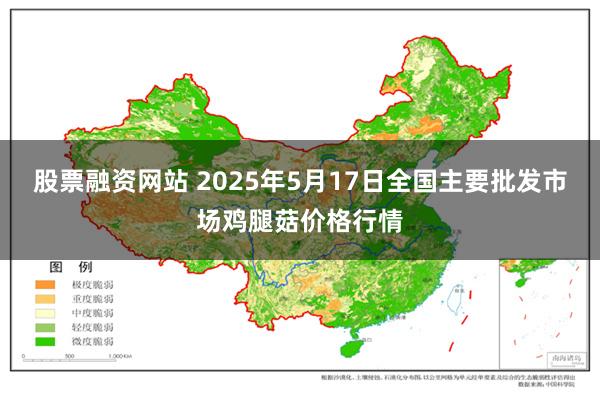 股票融资网站 2025年5月17日全国主要批发市场鸡腿菇价格行情
