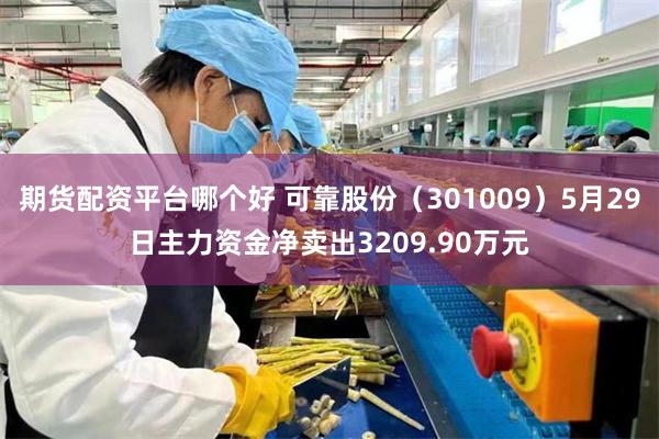 期货配资平台哪个好 可靠股份（301009）5月29日主力资金净卖出3209.90万元