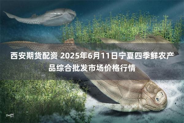 西安期货配资 2025年6月11日宁夏四季鲜农产品综合批发市场价格行情
