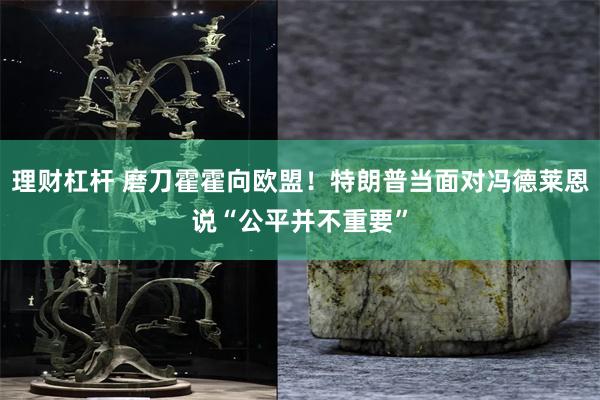 理财杠杆 磨刀霍霍向欧盟！特朗普当面对冯德莱恩说“公平并不重要”