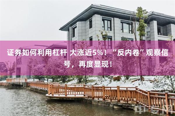 证券如何利用杠杆 大涨近5%！“反内卷”观察信号，再度显现！