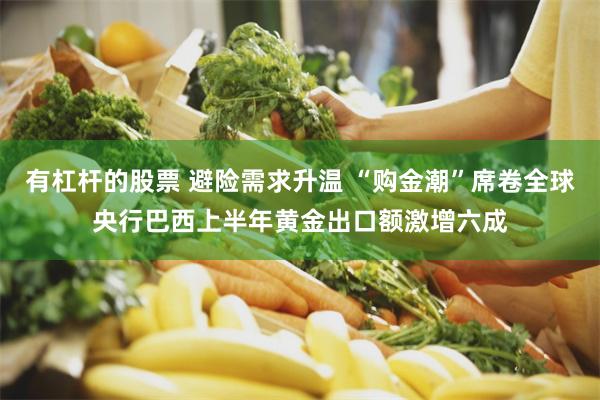 有杠杆的股票 避险需求升温 “购金潮”席卷全球央行巴西上半年黄金出口额激增六成