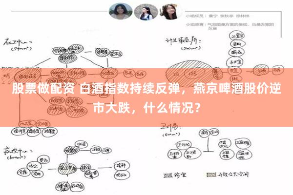 股票做配资 白酒指数持续反弹，燕京啤酒股价逆市大跌，什么情况？