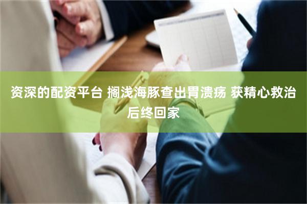 资深的配资平台 搁浅海豚查出胃溃疡 获精心救治后终回家